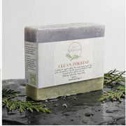 EverLiv Clean Forrest Soap - EverLiv LLC