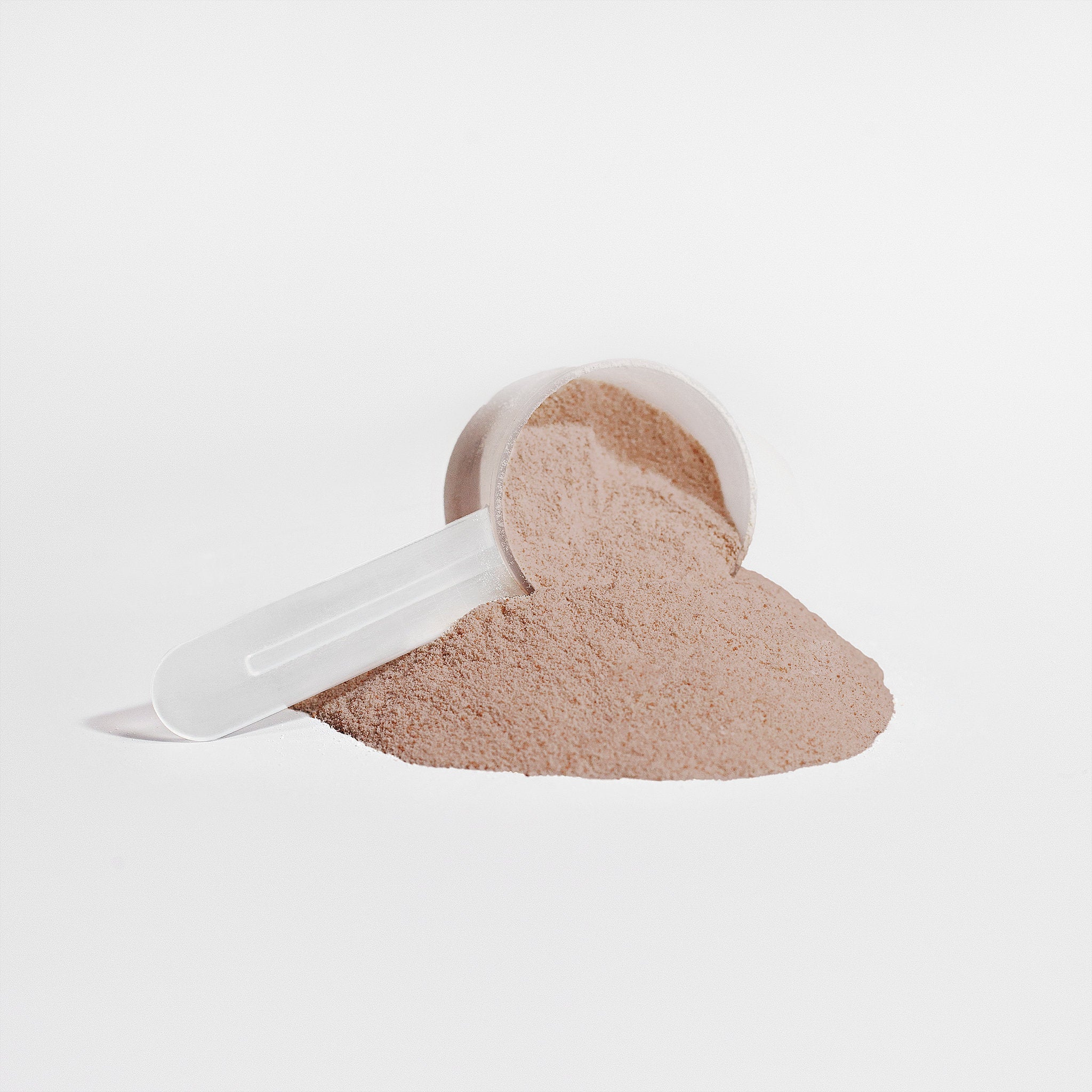 EverLiv Pure Plant Protein (Chocolate) - EverLiv LLC