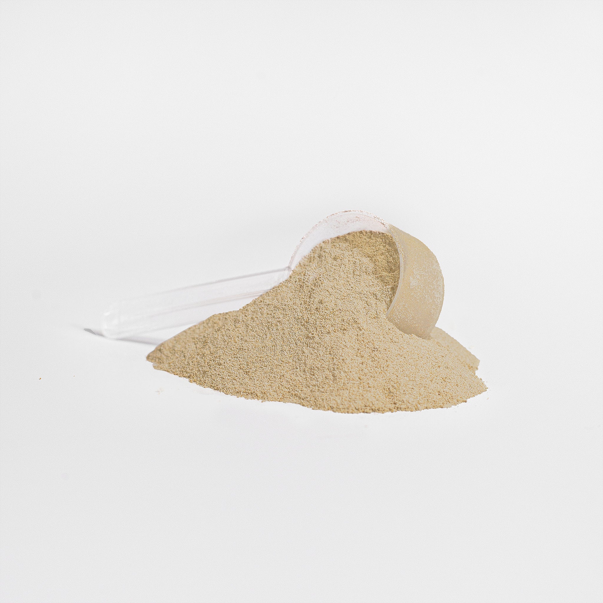 EverLiv Pure Plant Protein (Vanilla) - EverLiv LLC